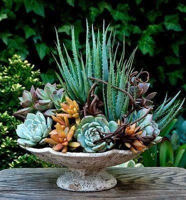 Creative Fall Container Gardening Ideas: seasonal plants, colors, and textures for outdoor decor
