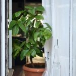 Patio Ideas Small Gardens Transform small outdoor spaces with creative patio ideas for small gardens