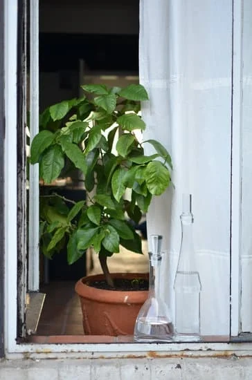 Transform small outdoor spaces with creative patio ideas for small gardens