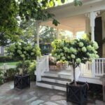 Ideas for Decking in Small Gardens: Cozy outdoor seating, space-saving designs, and vertical gardens