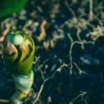 Cheap Garden Ideas Small Gardens Affordable landscaping for small yards: CHEAP GARDEN IDEAS SMALL GARDENS - budget-friendly and creative outdoor solutions