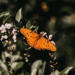 Explore creative gardening journal ideas for inspiration and organization