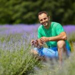 Ideas for Perennial Flower Gardens Vibrant Blooms: Ideas for Perennial Flower Gardens