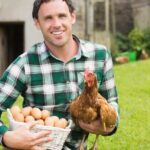 Explore dog-friendly garden designs for inspiring landscaping ideas and pet-friendly outdoor spaces