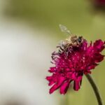 Gardening Art and Craft Ideas Gardening Art and Craft Ideas: Inspiring DIY projects for nature-inspired home decor and gifts