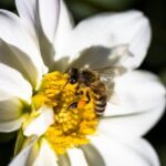 Indoor gardening gift ideas: planting kits, grow lights, terrariums, and herb garden starter sets