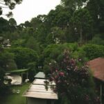 Cottage gardens ideas: a blooming paradise with colorful flowers, charming pathways, and rustic décor