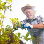 Gardening Screening Ideas Creative Gardening Screening Ideas: privacy plants, trellis designs, outdoor curtains, and bamboo fencing