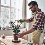 Small rock gardens ideas: compact designs with various succulents and pebbles for limited spaces