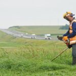 Explore unique gravel gardening ideas for your backyard landscape design, perfect for a low-maintenance outdoor space