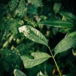 Better Homes and Gardens Master Bedroom Ideas Better Homes and Gardens Master Bedroom Ideas: Tranquil Retreat with Cozy Seating and Soft Lighting