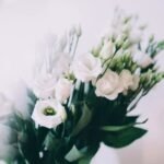 Creative landscaping for small sloped gardens: maximizing space, terracing, and beautiful plant options