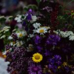 Backyard oasis: Discover creative gardening ideas for backyard landscaping, patio pots, and flower beds