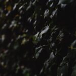 Beautiful EASTER GARDENING IDEAS for spring flower displays and colorful egg-filled planters