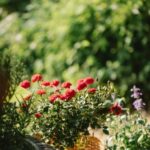 What Country Did the Idea of Fairy Gardens Come From The history of fairy gardens: origins in England