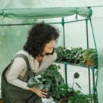 Autumn Gardening Ideas Explore creative autumn gardening ideas for your backyard - AUTUMN GARDENING IDEAS