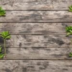 Gardening Basket Ideas Gardening basket ideas: creative plant combinations, tools, and accessories for an attractive and functional garden
