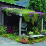 Apartment Balcony Gardening Ideas Creative Apartment Balcony Gardening Ideas: Small space, big green potential