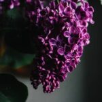 Stunning terraced landscaping for sloping gardens: GARDEN DESIGN IDEAS FOR SLOPING GARDENS