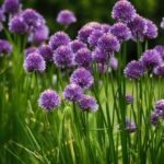 Lush greenery, efficient use of space, and container gardening in landscaping ideas for small gardens