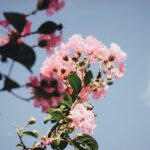 Garden Ideas for Small Gardens Creative landscaping for small outdoor spaces: Garden ideas for small gardens