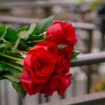 Transform your outdoor space with these creative gardening ideas along fence for a stunning garden makeover