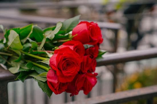 Gardening Ideas Along Fence 7 Transform your outdoor space with these creative gardening ideas along fence for a stunning garden makeover