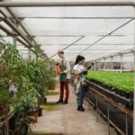 Gardening Card Ideas Creative gardening card ideas for every occasion, from birthdays to thank you notes