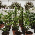 Beautiful landscaping solutions for sloped gardens: GARDEN IDEAS FOR SLOPED GARDENS to maximize your outdoor space