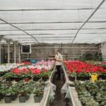 Ideas for Small Front Gardens on a Budget Budget-Friendly Ideas for Small Front Gardens: Maximizing Space and Beauty