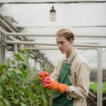 Front yard landscaping with flowers and shrubs for a beautiful garden. - Gardening ideas for front yard