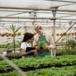 Cozy outdoor nook: Corner decking ideas for small gardens