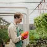 Creative gardening ideas using pallets: sustainable vertical gardens, raised flower beds, and herb planters