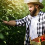 Gardener Gift Ideas Unique Gardener Gift Ideas: Tools, Seeds & Accessories for the Gardening Enthusiast