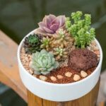 Ideas for Modern Gardens Vibrant Flowers and Innovative Designs: Ideas for Modern Gardens