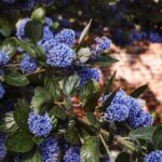 Creative Gardening Ideas for Small Spaces Small space Try these creative gardening ideas for small spaces to spruce up your area