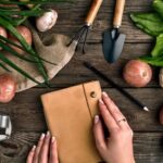 Sunny Walkway Garden: Inspiring Ideas for Beautiful Pathway Landscaping