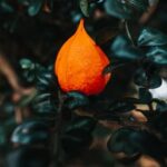 Colorful flowers and creative landscaping in backyard gardening ideas