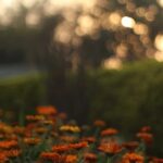 Gardening Poster Ideas Creative Gardening Poster Ideas: Inspirational designs to enhance your garden space