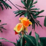 Best Gift Ideas for Gardeners Best Gift Ideas for Gardeners: Tools, seeds, and personalized planters to help them grow their passion