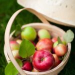 Small Gardening Ideas Creative Small Gardening Ideas: Maximizing Space for Beautiful Blooms and Lush Greenery