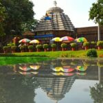 Busch Gardens shirt ideas: park-inspired designs, iconic animal prints, or classic roller coaster illustrations