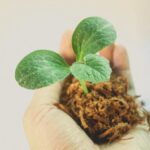 Vibrant and Creative Gardening Borders Ideas: Transform Your Garden with These Inspiring Designs