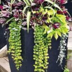 Better Homes and Gardens Painting Ideas BETTER HOMES AND GARDENS PAINTING IDEAS: Inspiring Paint Colors and Techniques for Home Décor