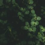 Gardener outfit ideas: practical and stylish attire for tending to your garden with ease and flair