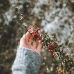 Gardening Trellis Ideas Creative DIY Gardening Trellis Ideas for Any Outdoor Space