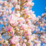 Gardening Ideas for Home Explore creative gardening ideas for home landscapes, including container gardening and vertical gardening solutions