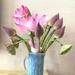 Ideas for Gardening in Balcony Balcony Gardening Ideas: Transforming Small Spaces into Green Oases