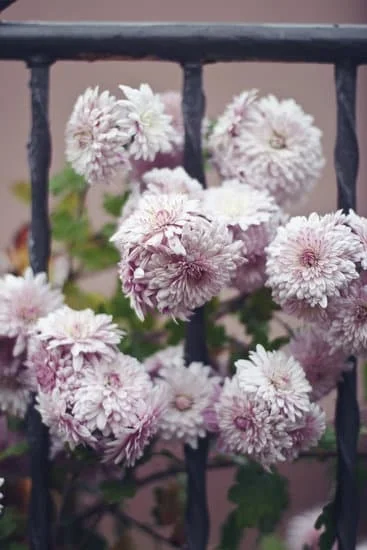 Explore creative gardening competition ideas for community events and school programs