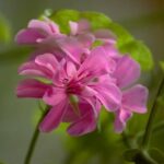 Diy Water Feature Ideas for Small Gardens Creative and space-saving DIY water feature ideas for small gardens - elevating your outdoor oasis